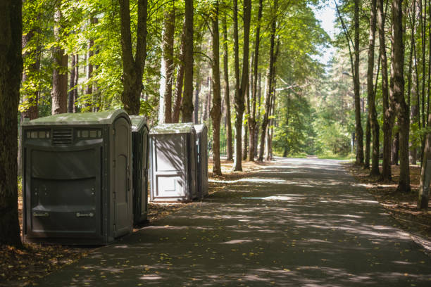 Best Wedding porta potty rental  in Park Rapids, MN